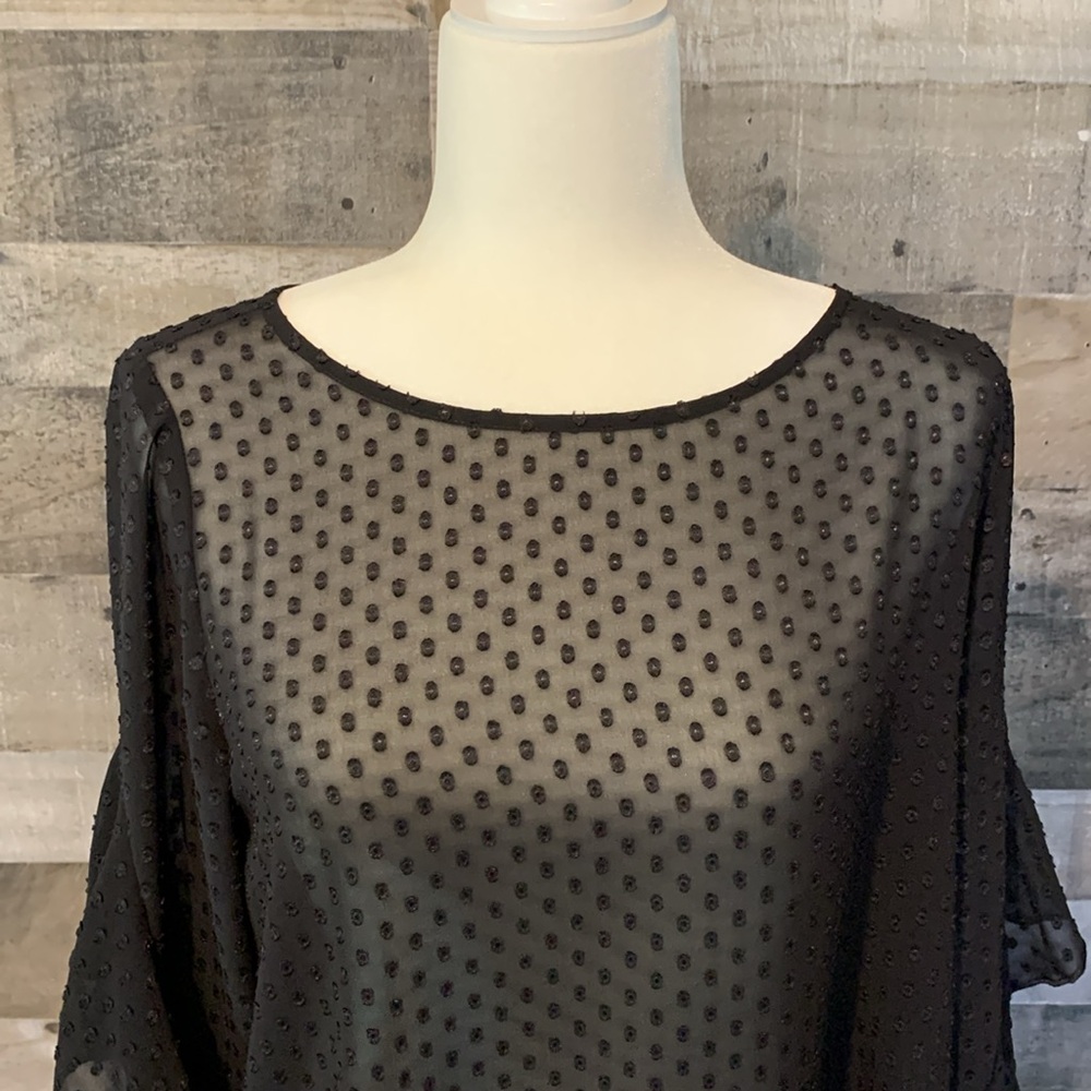 Ann Taylor Sheer Polka Dot Top Size MP - Picture 5 of 16